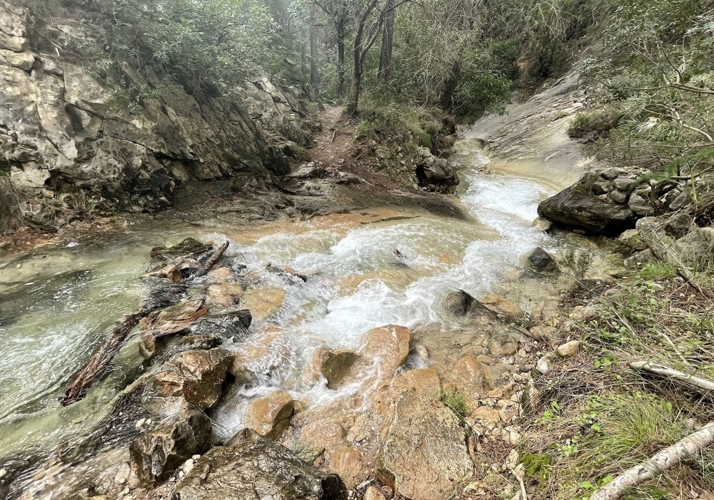 Det har regnat nästan oavbrutet i Andalusien sedan årsskiftet och till och med flodbäddar som normalt är torrlagda har flödat rejält i januari och början av februari.