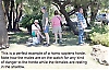 Johan och Daniel har tagit fram en alternativ turistguide som visar upp ett Puerto Banús med vanliga människor och sprickor i husfasaderna.