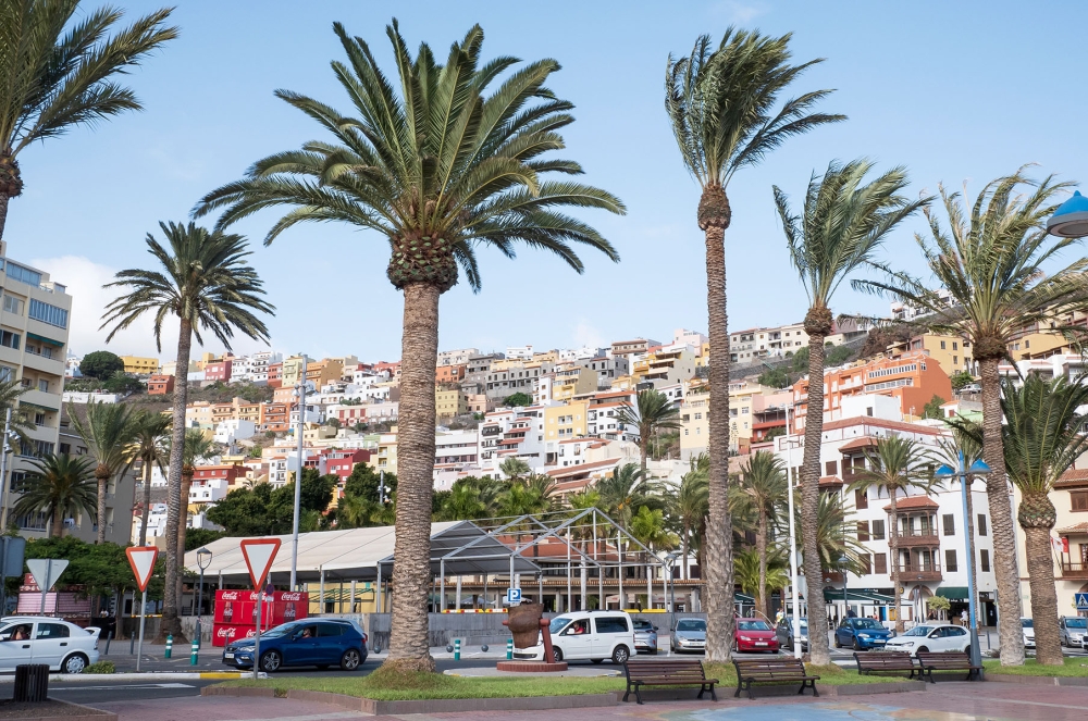 Det massiva str&ouml;mavbrottet p&aring; La Gomera i januari orsakades av en ov&auml;ntad incident. En palm f&ouml;ll &ouml;ver en kraftledning och slog ut hela &ouml;ns elsystem under en kort period.