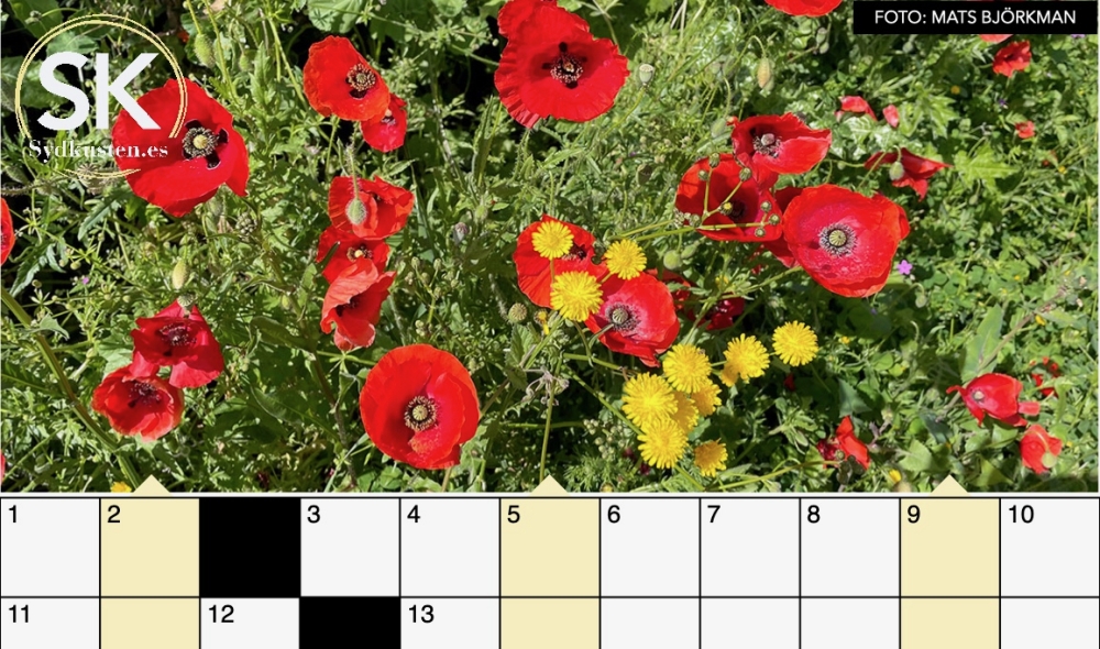 Webbkrysset är en av många plus-tjänster för prenumeranter.