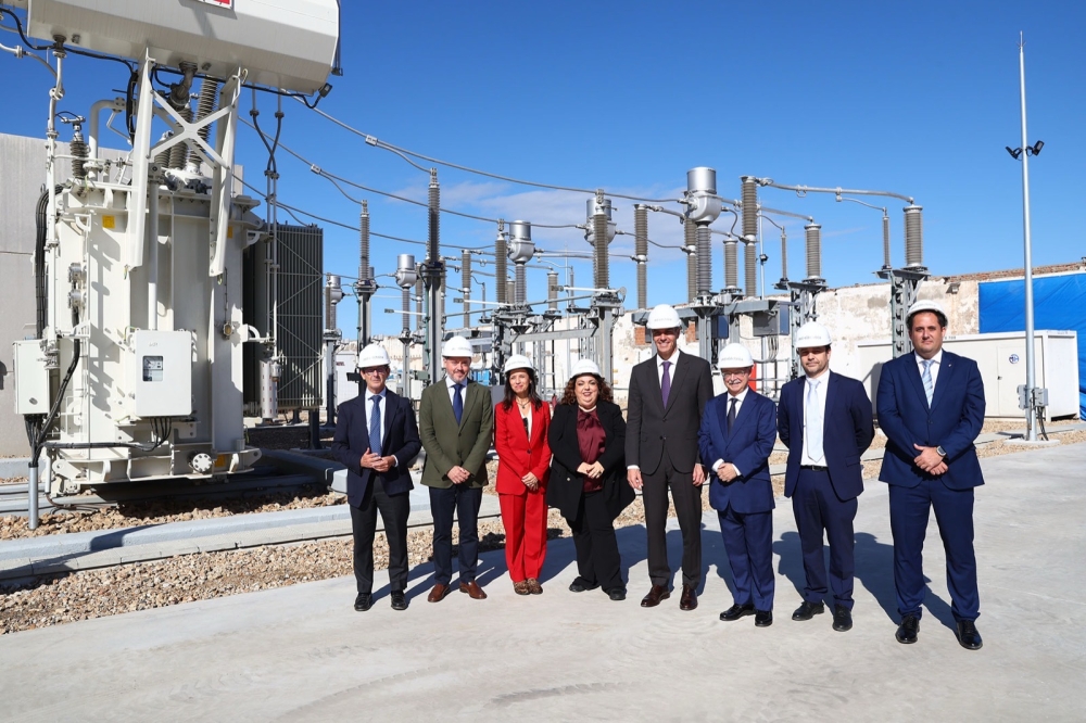 Granskningen i Senaten pekar på att ett flertal varningsljus tändes före den totala blackouten den 28 april förra året.