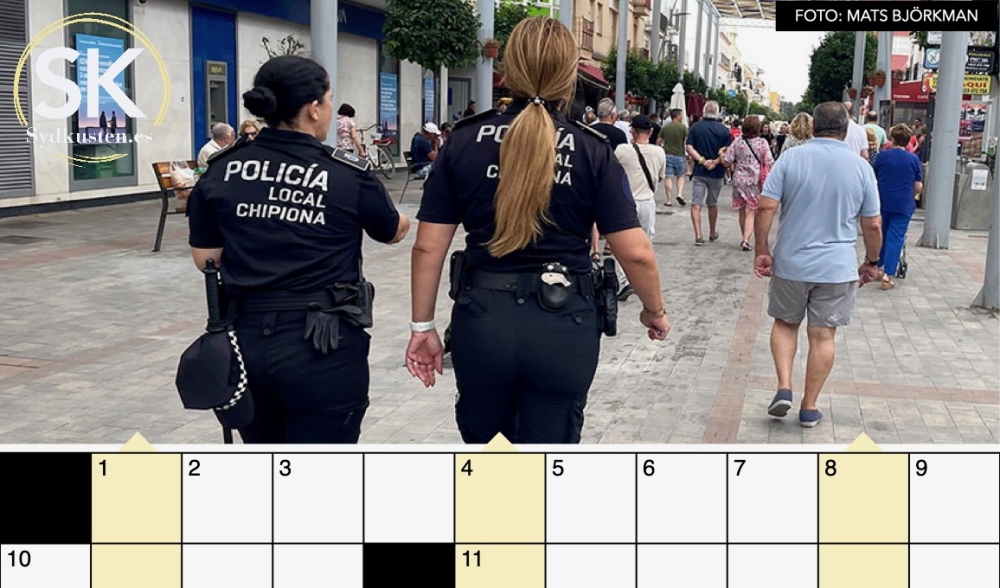 Webbkrysset är en av många plus-tjänster för prenumeranter.