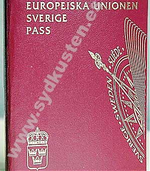 EU-medborgare i Spanien tvingas bära antingen pass eller nationellt ID-kort.