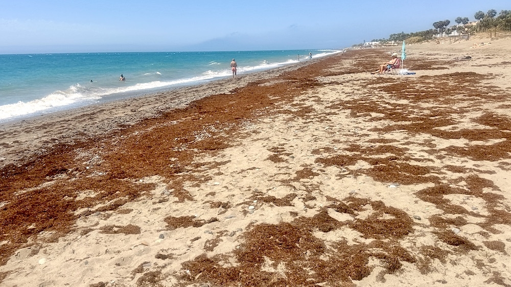 S&aring; h&auml;r s&aring;g Costalitastranden i Estepona ut ig&aring;r den 16 juni.
