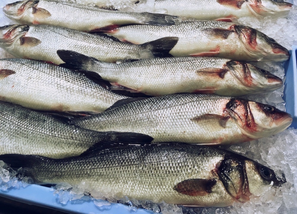 Planerna har varit att producera 5.400 ton havsabborre (lubina) per år.