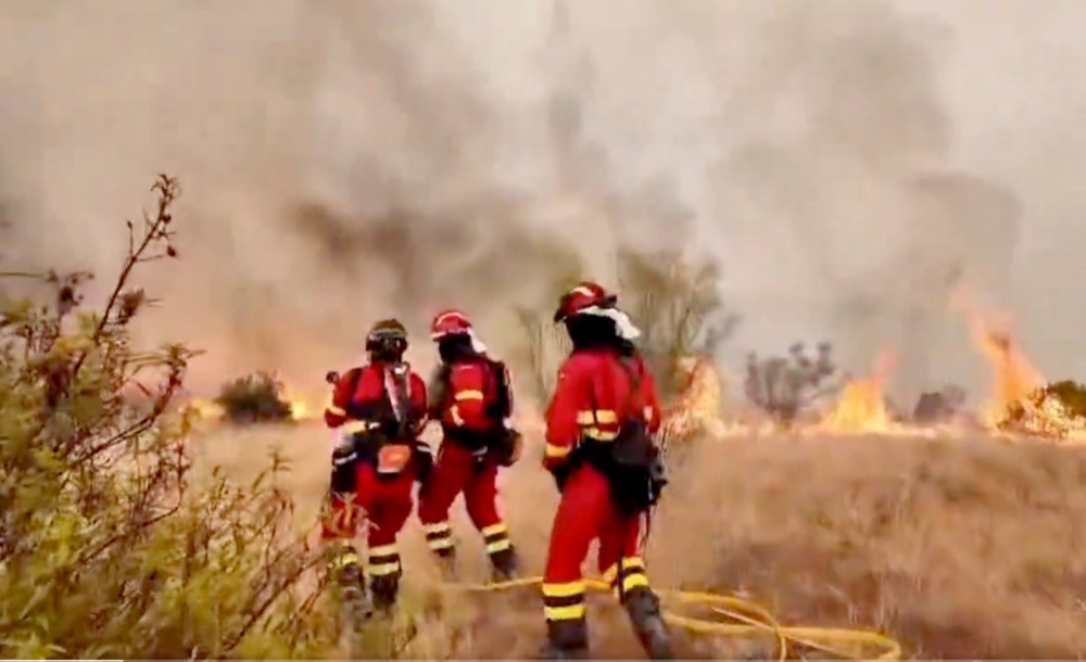 Extrema temperaturer och rikligt med uttorkad vegetation har fungerat som bränsle för sommarens omfattande skogsbränder. Foto: Ministerio de Defensa