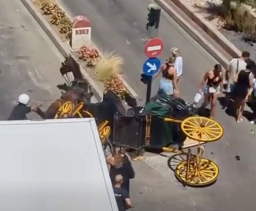 Olyckan inträffade i centrala Fuengirola efter att hästen plötsligt skenade och orsakade en kedjekollision. Foto: Fuengirola Se Queja