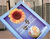 “Educación para la Ciudadanía” är ett ämne som syftar till reflektion kring frågor som mänskliga rättigheter, demokrati, jämställdhet, olika familjebildningar, sexualitet och främlingsfientlighet.