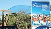 Biljetterna till semifinalen i Davis Cup, som spelas i Marbella 10 till 12 juli, tog slut på tio dagar vilket är ett rekord i sammanhanget.