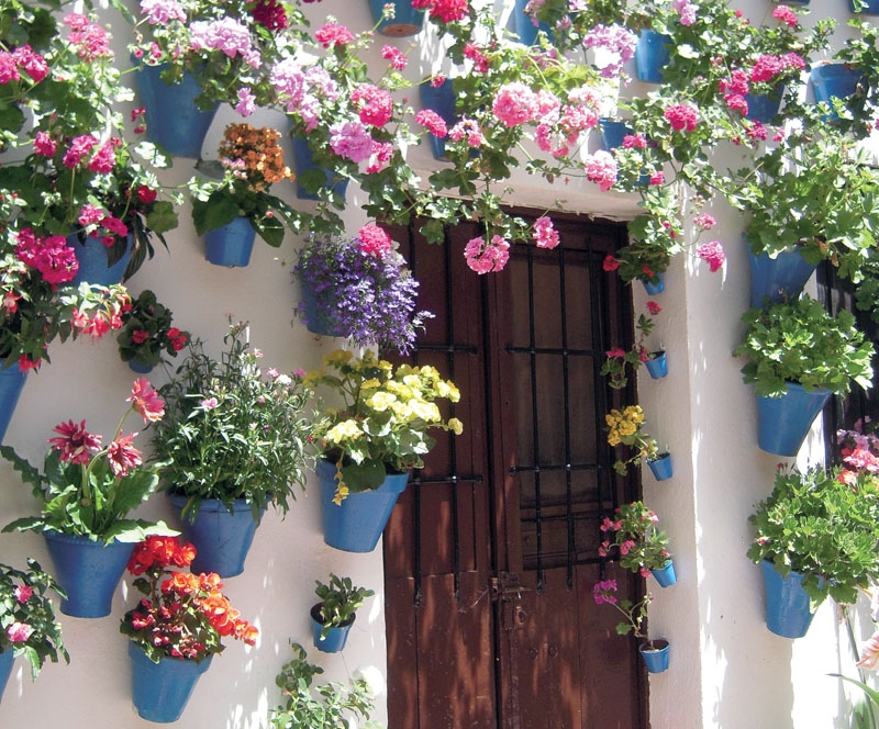 Pelargoner dominerar fasaderna på de andalusiska husen och finns i alla former.
