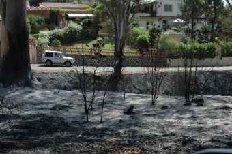 Den värsta branden någonsin på Costa del Sol har skördat 5 000 hektar mark. Många hade lågorna alldeles inpå husknuten, som boende i området Ricmar, öster om Marbella.