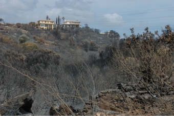 Den största branden någonsin på Costa del Sol har främst skövlat naturmark, men även jordbruk och bebyggda tomter.