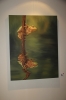 Röd prick betyder att någon förvärvade denna målning, “The Frog”, en oljemålning på duk med storleken 100x130 cm.